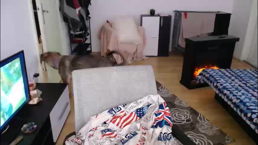 aliens4twenty Live Sex January 10, 2026