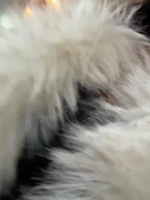 Marianna_ Live Sex January 10, 2026