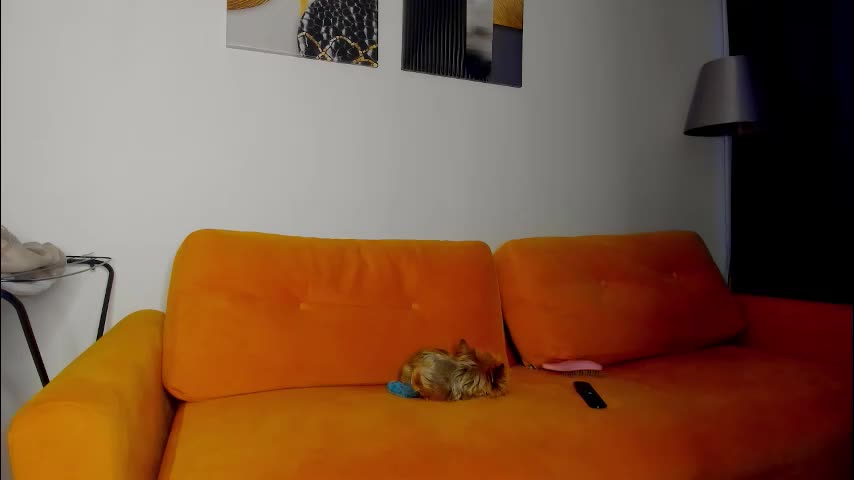 patricia_bloom Live Sex January 11, 2026