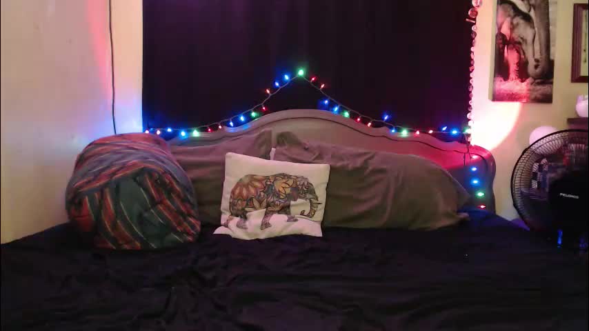 foxymalloryknoxy69 Live Sex January 11, 2026