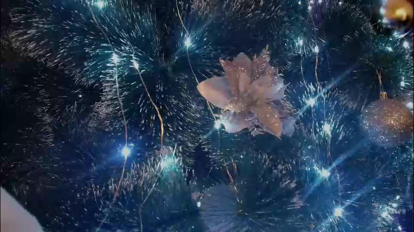 imcarrieberry Live Sex January 11, 2026