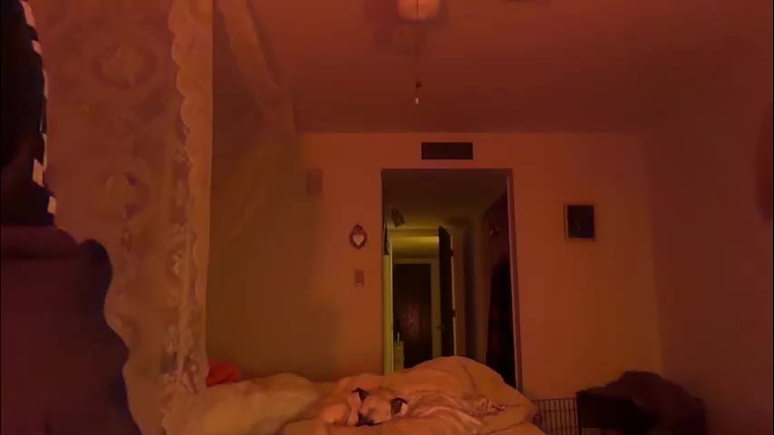 channel022 Live Sex January 11, 2026