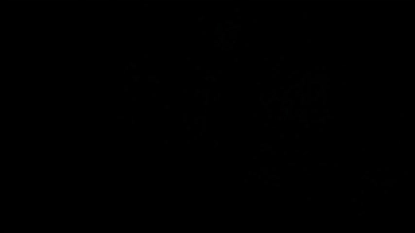 aisharouhi Live Sex January 12, 2026