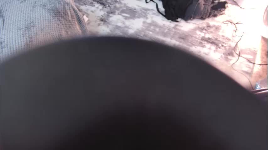 amylanee Live Sex January 12, 2026