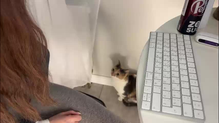 xxx_leila Live Sex January 12, 2026