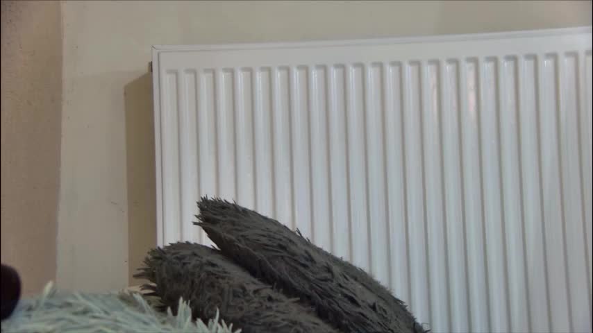 anaworld69 Live Sex January 12, 2026