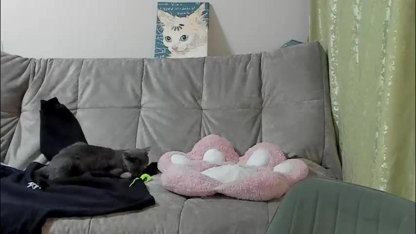 kesh_mne Live Sex January 12, 2026