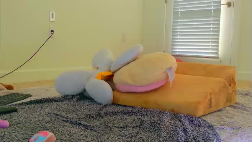 shaylavee Live Sex January 12, 2026