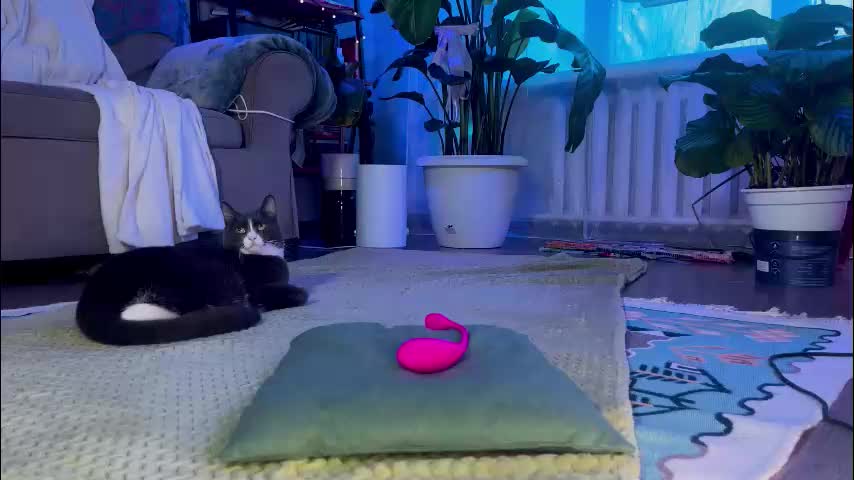 sasha_moormeoow Live Sex January 12, 2026