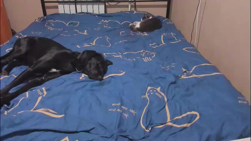 eva_zero Live Sex January 13, 2026