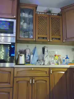 MonaMonako Live Sex January 13, 2026