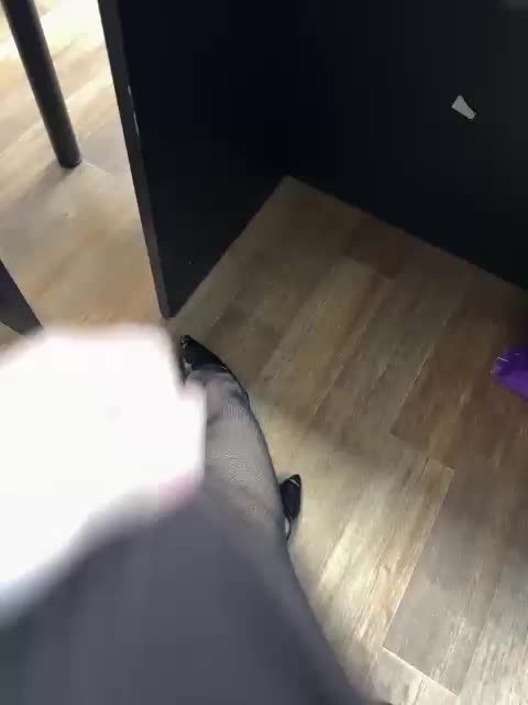 LustySass Live Sex January 13, 2026