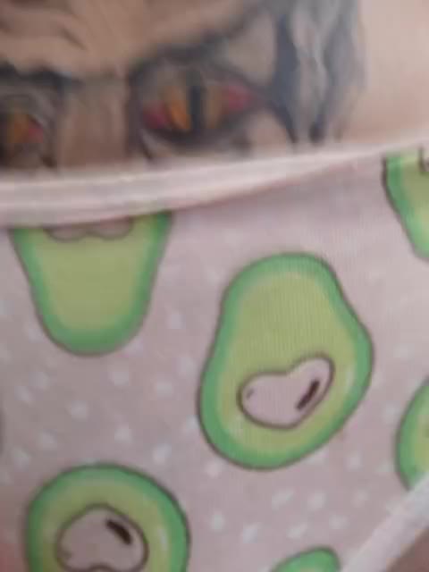 RedFox9595 Live Sex January 13, 2026