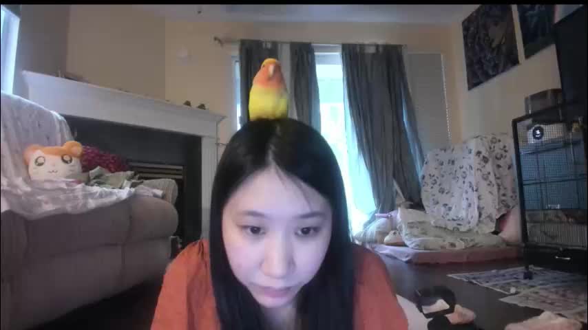 alizezaide Live Sex January 13, 2026