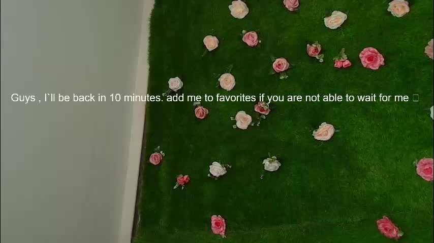 megatitts_ Live Sex January 13, 2026