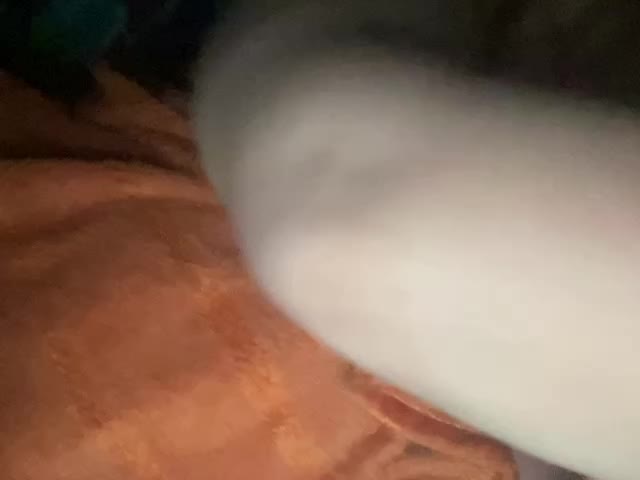 EVIL_TITS Live Sex January 13, 2026