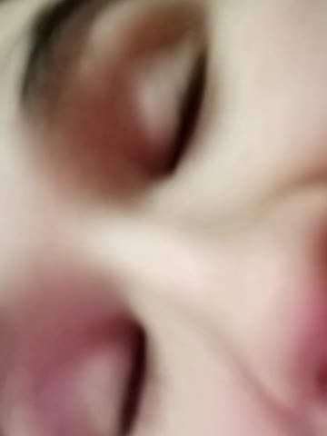 littleowlx Live Sex January 13, 2026