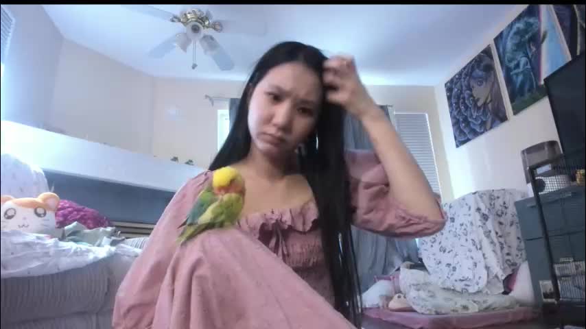 alizezaide Live Sex January 14, 2026