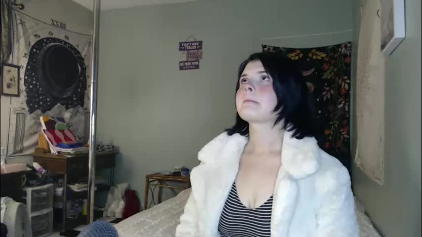 venusastar Live Sex January 14, 2026