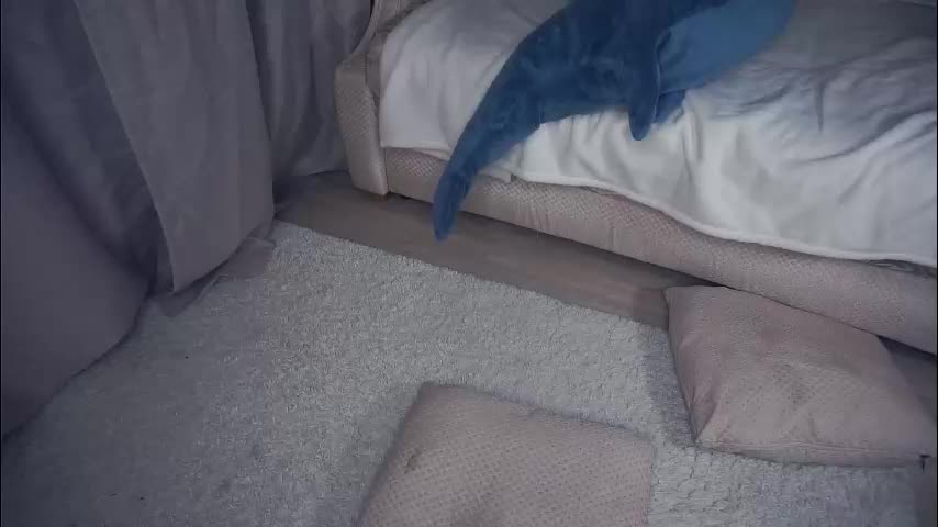 meghanantell Live Sex January 15, 2026