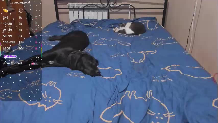 eva_zero Live Sex January 15, 2026