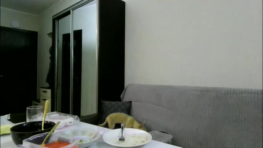 best_ass2000 Live Sex January 15, 2026