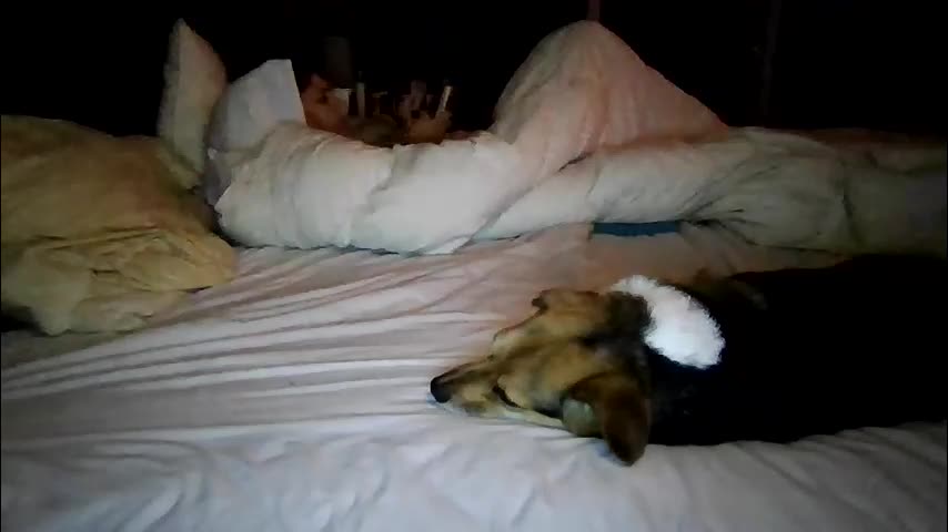 xxverabbyxx Live Sex January 15, 2026