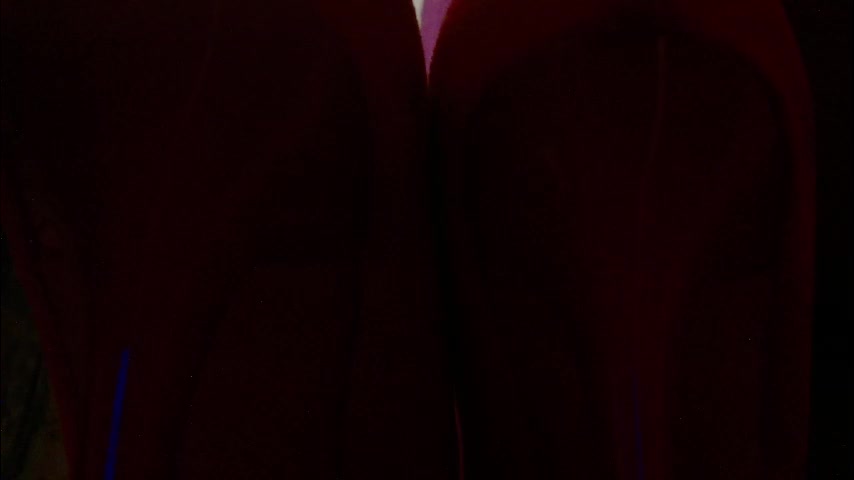 imcarrieberry Live Sex January 15, 2026