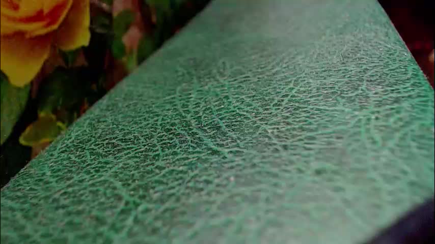 shyredstar Live Sex January 16, 2026