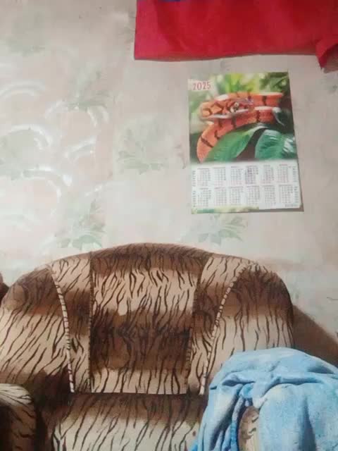 Calibriya Live Sex January 16, 2026