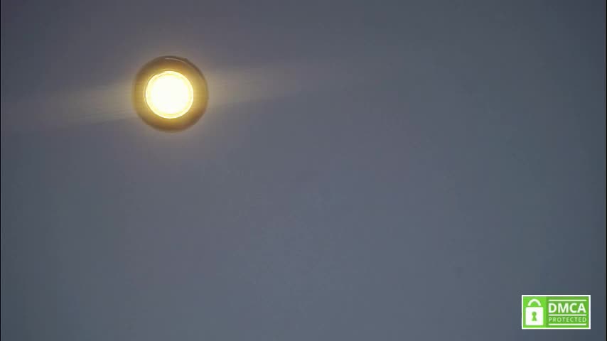 tashinapetitto Live Sex January 16, 2026