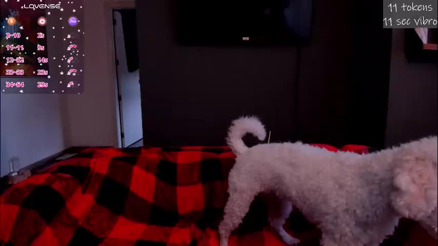 kortney_williams Live Sex January 16, 2026