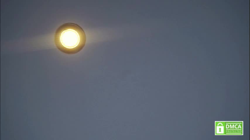 tashinapetitto Live Sex January 17, 2026