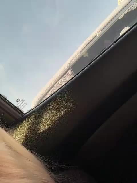 -Estonia- Live Sex January 17, 2026