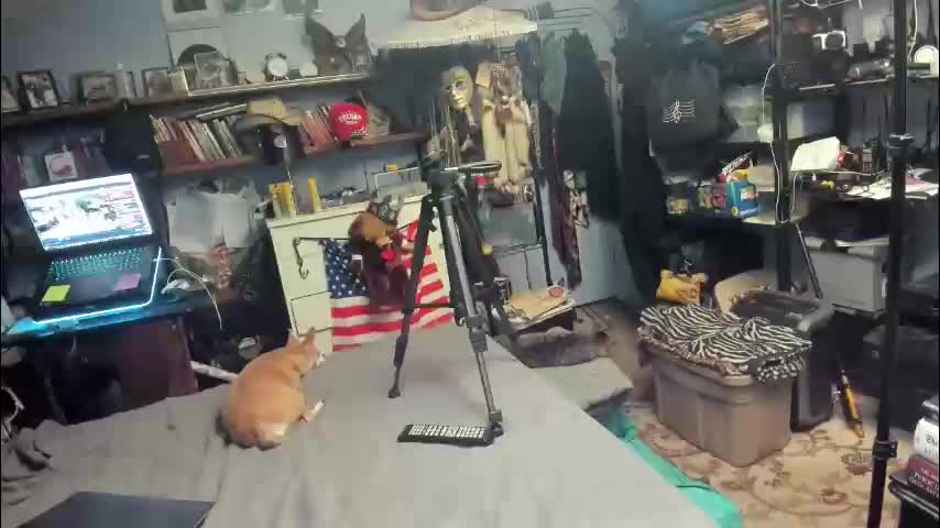 pink_black Live Sex January 17, 2026