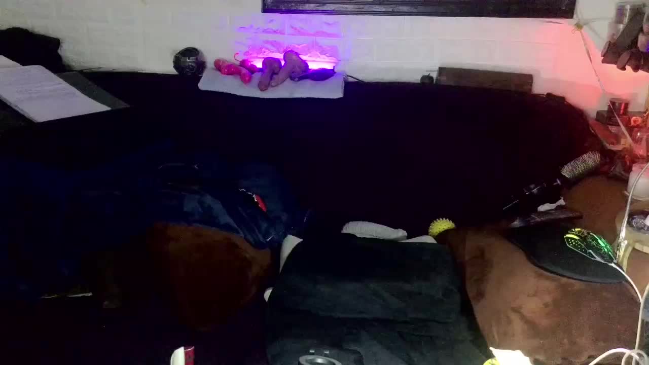 Fantasyca Live Sex January 17, 2026