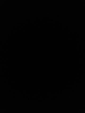 Macho797-174 Live Sex January 18, 2026