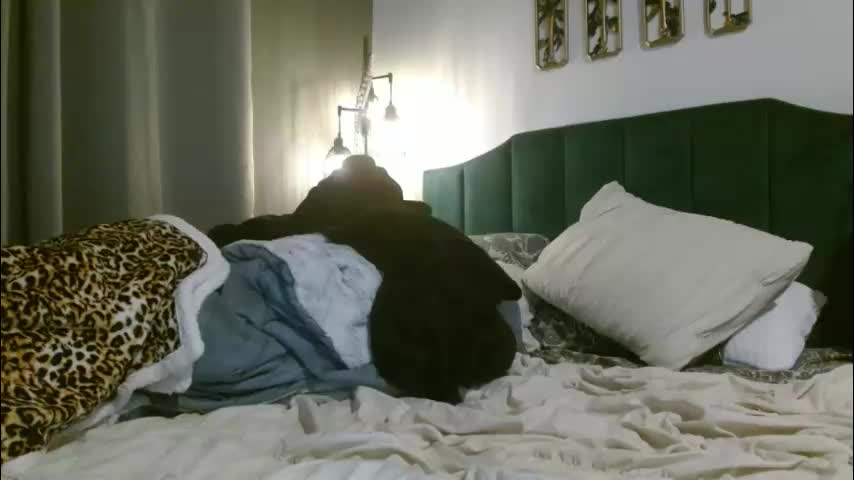 hazel_skye Live Sex January 18, 2026