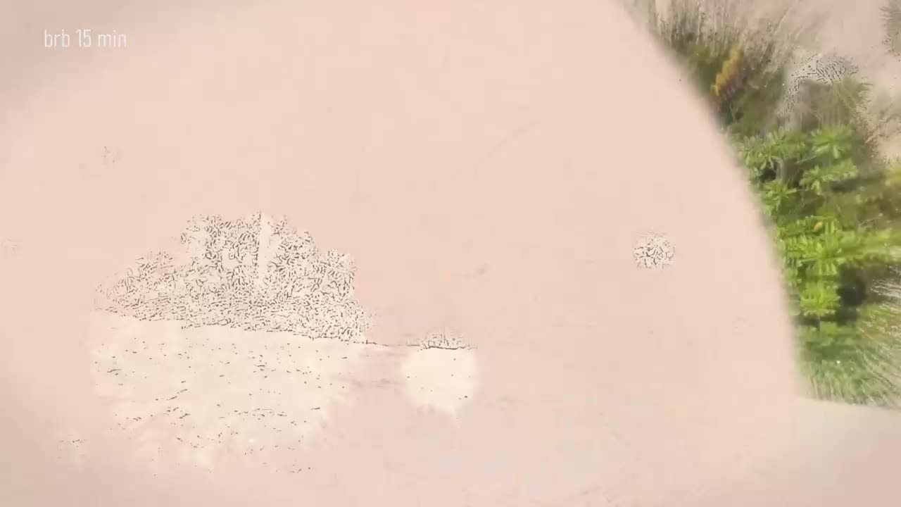 Taanni Live Sex January 18, 2026