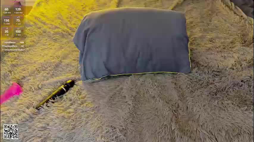 camienevius Live Sex January 19, 2026