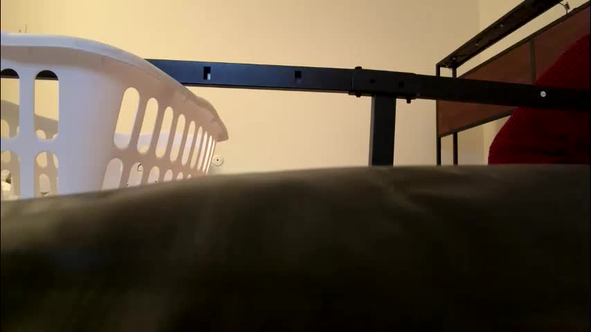 xpbunni Live Sex January 19, 2026