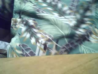 SEKSI-44 Live Sex January 19, 2026