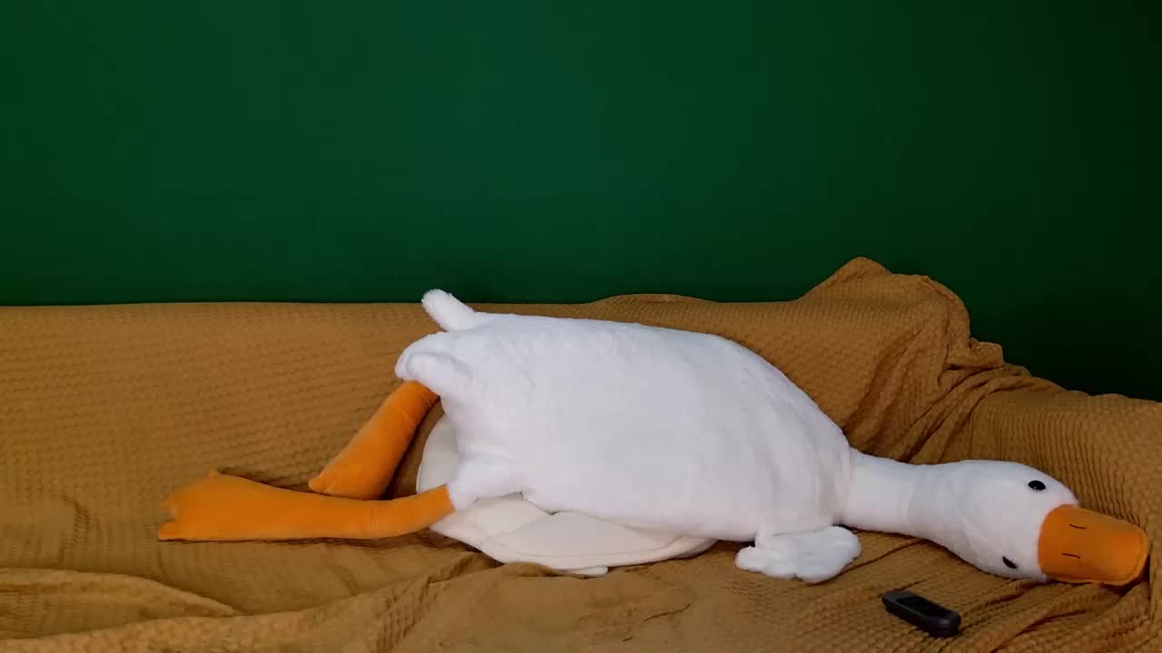 jane-booblegum Live Sex January 19, 2026