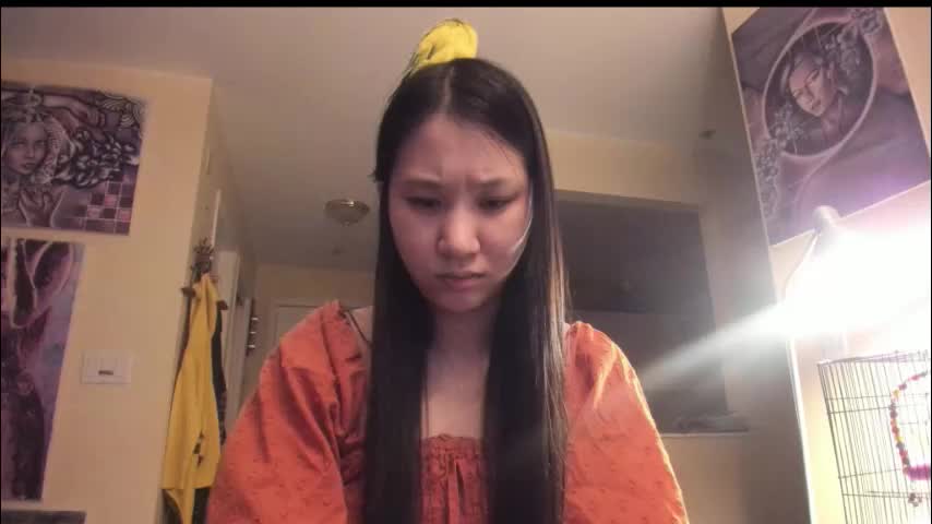 alizezaide Live Sex January 19, 2026