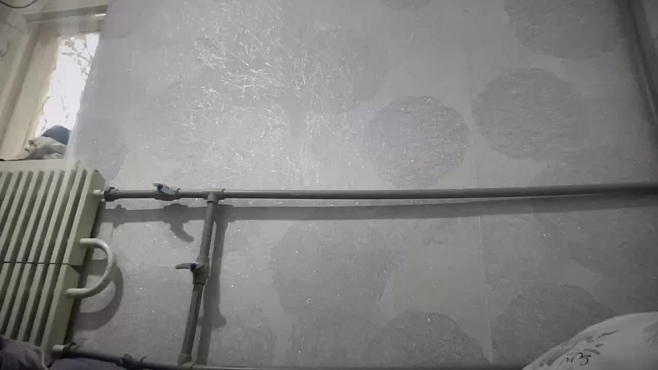 Natalii87 Live Sex January 19, 2026