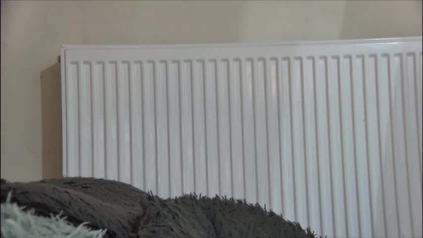 anaworld69 Live Sex January 20, 2026