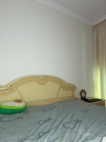 avolood Live Sex January 20, 2026