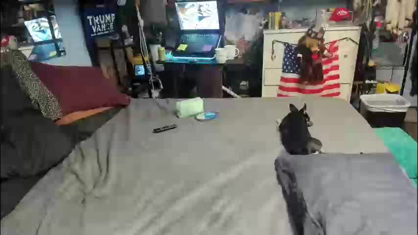 pink_black Live Sex January 20, 2026