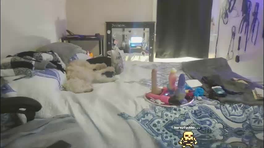 kristycake Live Sex January 20, 2026