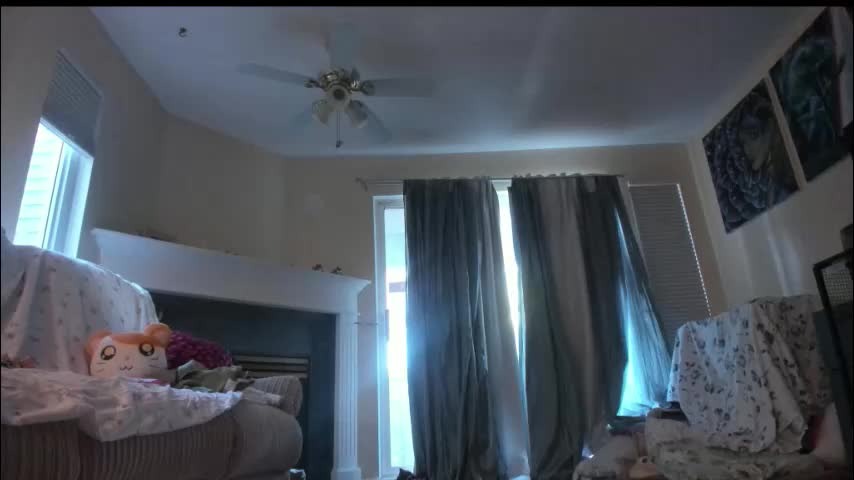 alizezaide Live Sex January 21, 2026